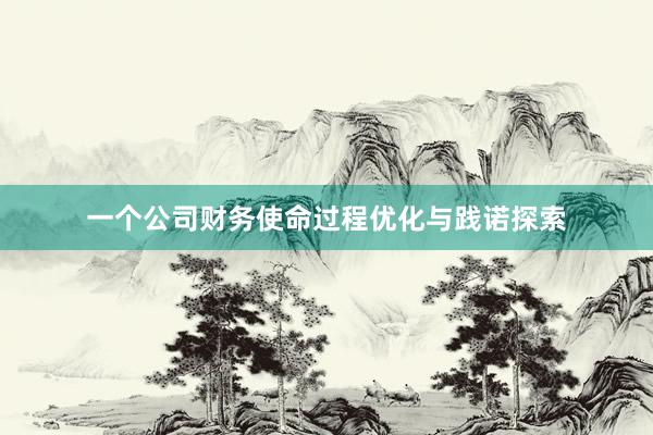 一个公司财务使命过程优化与践诺探索
