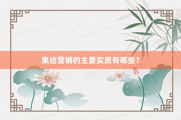 集结营销的主要实质有哪些？