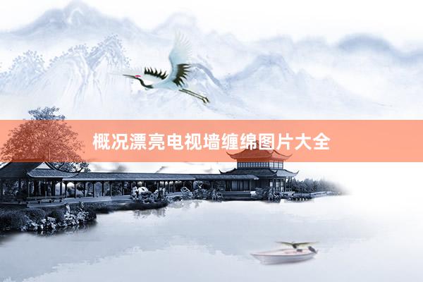 概况漂亮电视墙缠绵图片大全