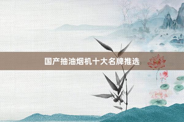 国产抽油烟机十大名牌推选